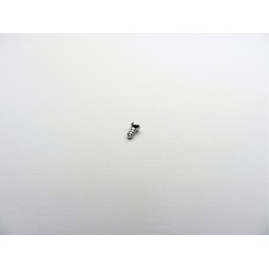 2.4 Self Tapping Screw