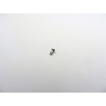 2.4 Self Tapping Screw