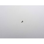 1.0 Self Tapping Screw - 4mm